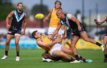 Load image into Gallery viewer, 2024 Adelaide Crows Yellow Trainers