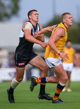 Load image into Gallery viewer, 2024 Adelaide Crows Yellow Trainers