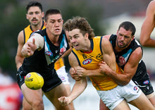 Load image into Gallery viewer, 2024 Adelaide Crows Yellow Trainers