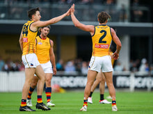 Load image into Gallery viewer, 2024 Adelaide Crows Yellow Trainers