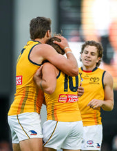 Load image into Gallery viewer, 2024 Adelaide Crows Yellow Trainers
