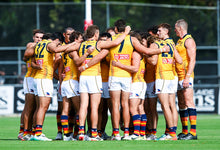 Load image into Gallery viewer, 2024 Adelaide Crows Yellow Trainers
