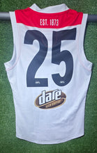 Load image into Gallery viewer, 2018/19 St Kilda Clash Guernseys - Consignment PI
