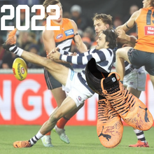 Load image into Gallery viewer, Brad Close - Geelong (Player boots) (Consignment)
