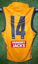 Load image into Gallery viewer, 2025 Adelaide Crows Yellow Trainers
