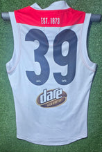 Load image into Gallery viewer, 2018/19 St Kilda Clash Guernseys - Consignment PI

