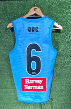 Load image into Gallery viewer, 2025 GWS Giants Trainers - Blue/White (Reversable)
