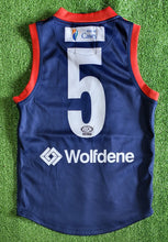 Load image into Gallery viewer, 2018 Casey Demons VFL HOME Player Issue Guernsey
