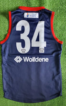 Load image into Gallery viewer, 2018 Casey Demons VFL HOME Player Issue Guernsey
