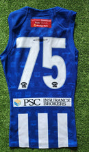 Load image into Gallery viewer, 2019 North Melbourne Kangaroos VFL HOME Player Issue Guernsey
