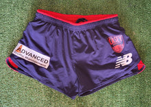 Load image into Gallery viewer, 2019 Casey Demons VFLW Training Shorts
